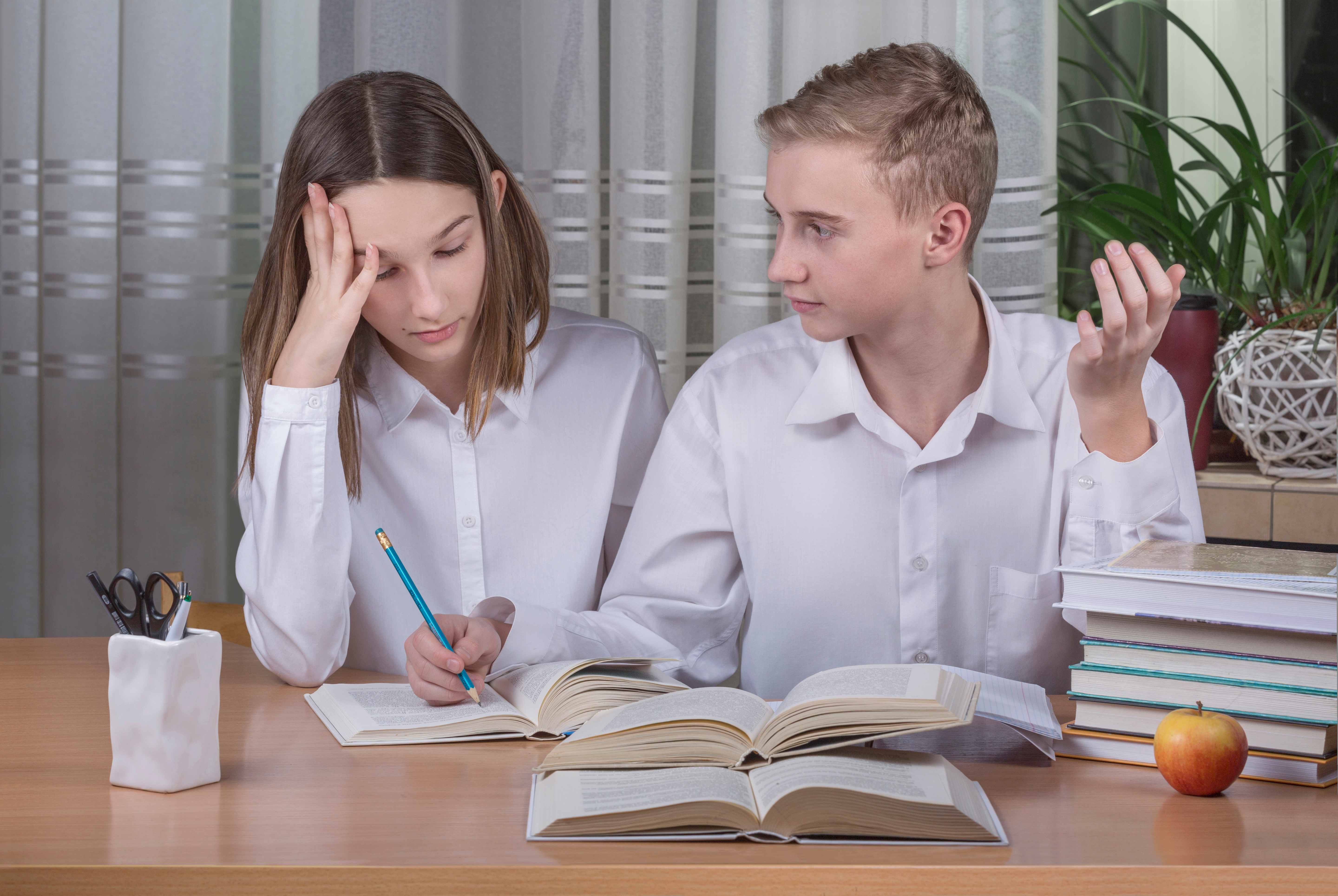 Понимание темперамента: что это и почему важно