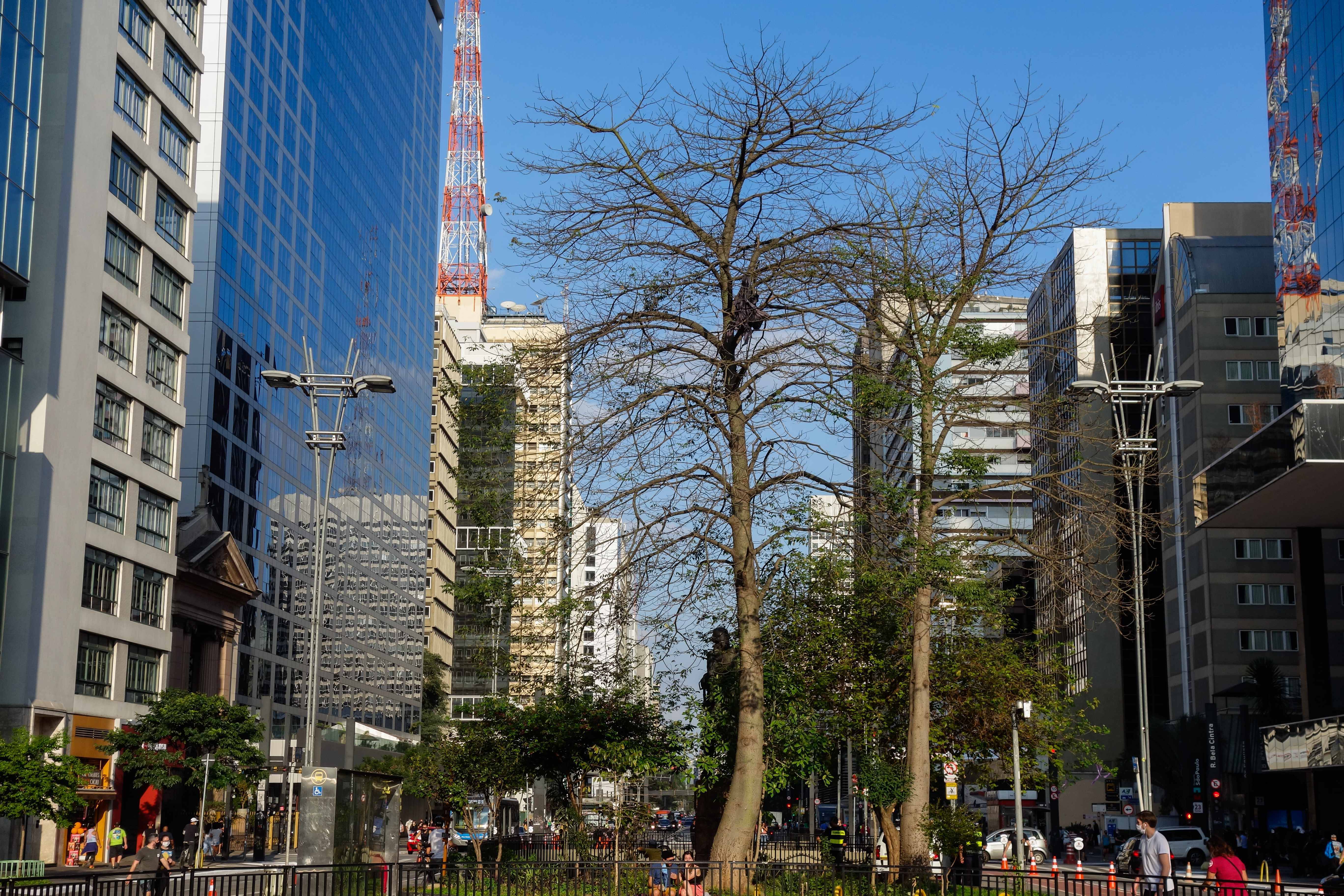 Токио: Архитектура в условиях сейсмической активности